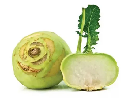 تصویر 1 از خرید و قیمت کلم سنگ + فروش عمده